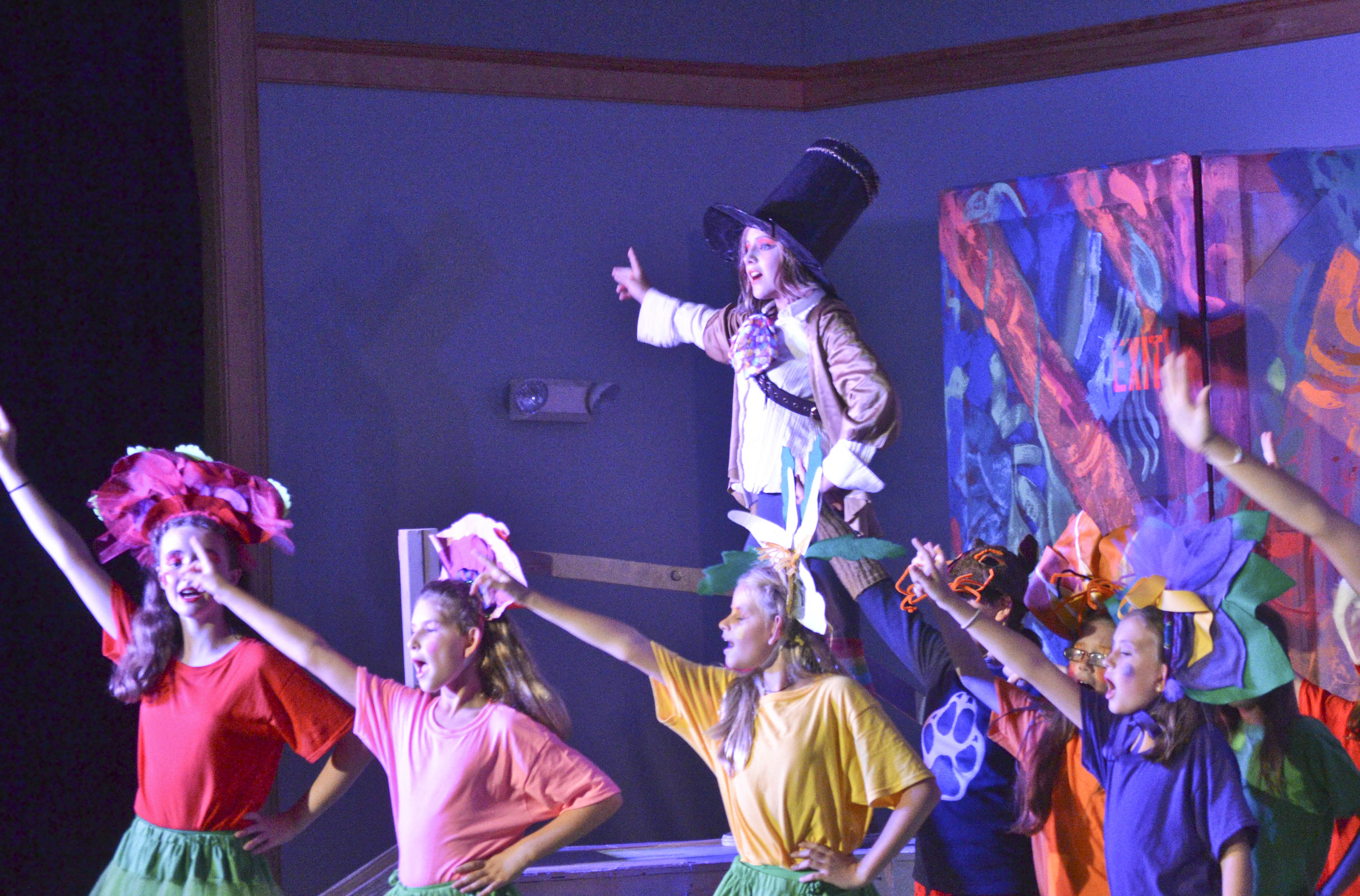 2016 Alice in Wonderland