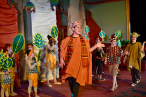 2017 The Lion King Jr.